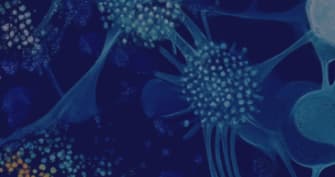 BIOLMSOL